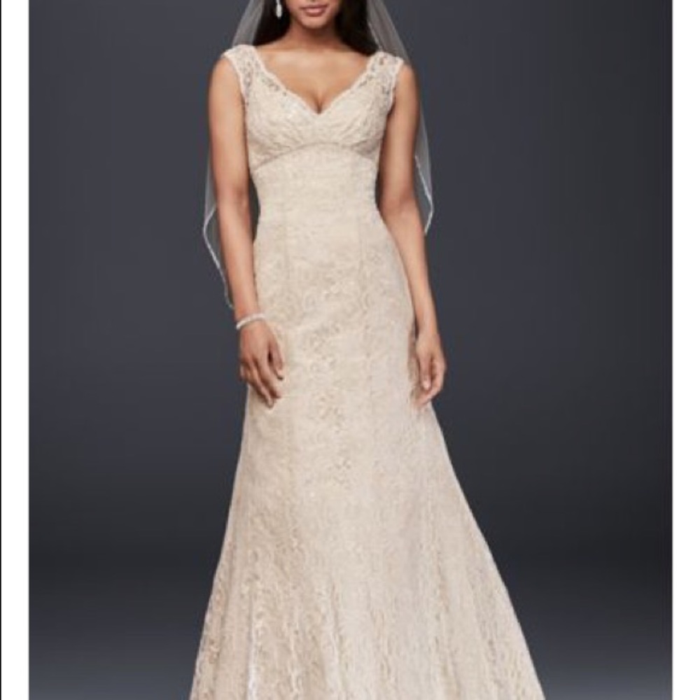 David’s Bridal Gown